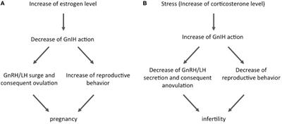 Gonadotropin-Inhibitory Hormone Plays Roles in Stress-Induced Reproductive Dysfunction